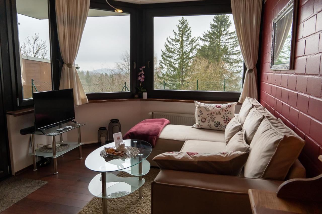 Fewo Harzer Weitblick, Hunde Willkommen, W-Lan, 2X Smart Tv, Dtv 4 Sterne, 4 Pfoten Braunlage Exterior photo